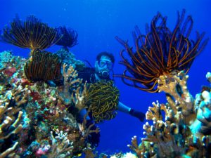 Diving with Tranquility Dive, Vanuatu