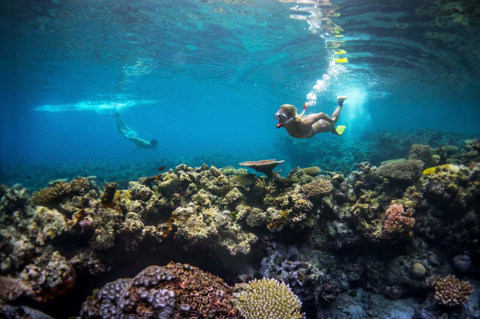 Snorkeling off Port na happle